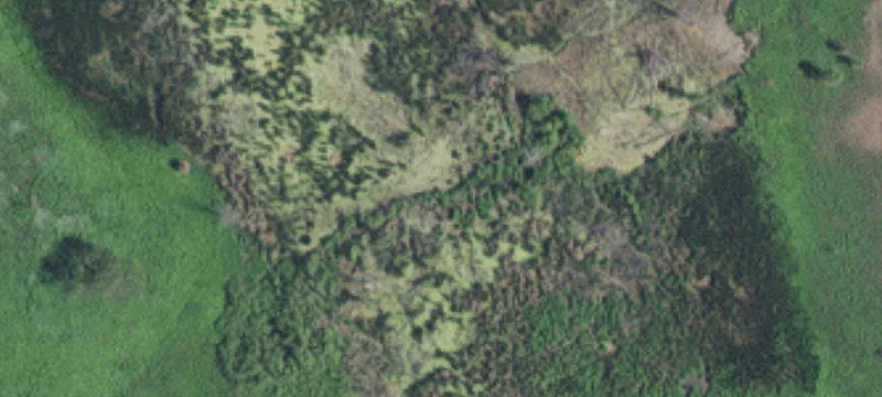 Cottage Grove, MN 55016