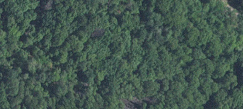 Afton, MN 55001