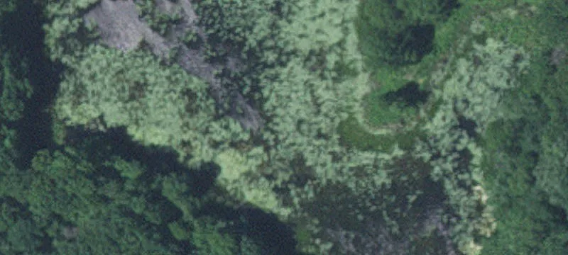 Zimmerman, MN 55398