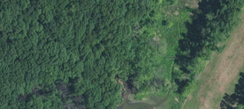 Inver Grove