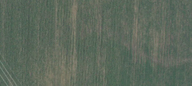 Hampton, MN 55031