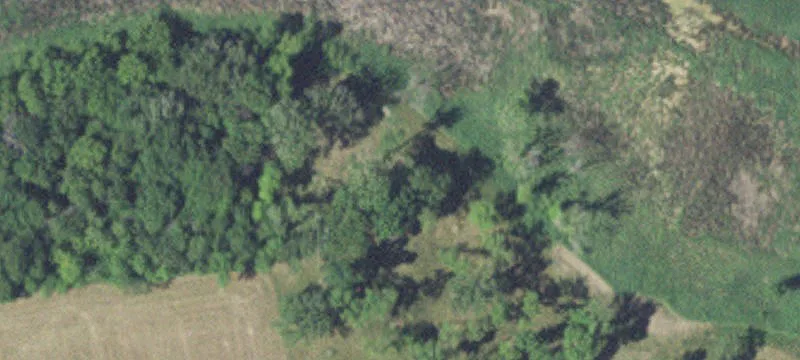Cologne, MN 55322