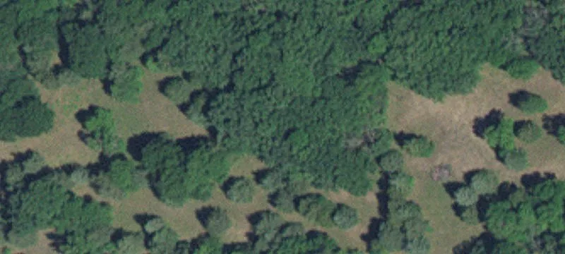Saint Paul Park, MN 55071