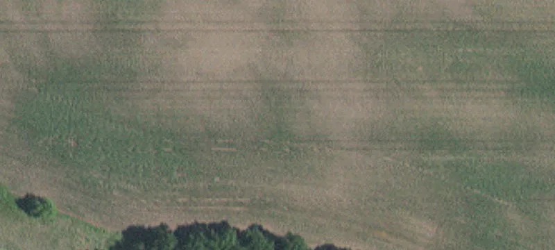 Cottage Grove, MN 55016