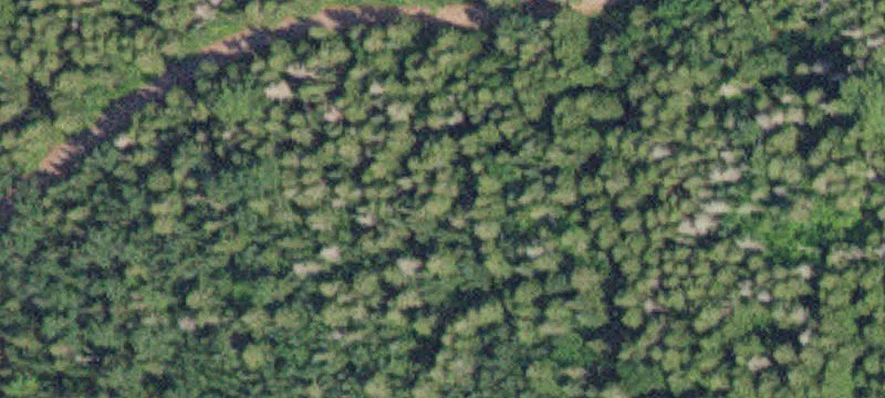 561 Gunflint Lk