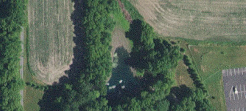 10020 Deer Gdn Ln