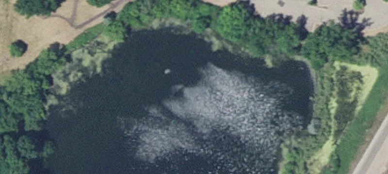 Hopkins, MN 55343