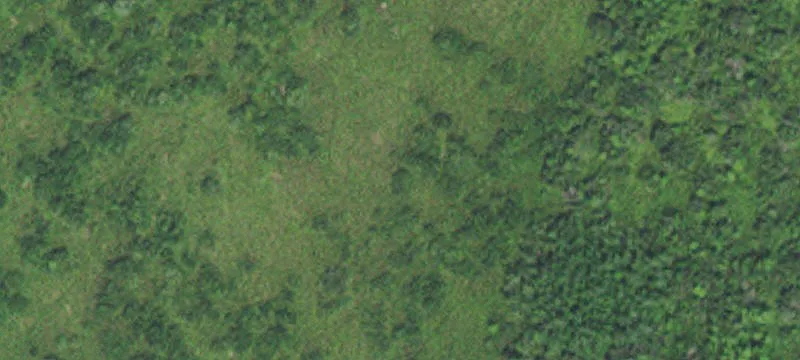 Ulen, MN 56585