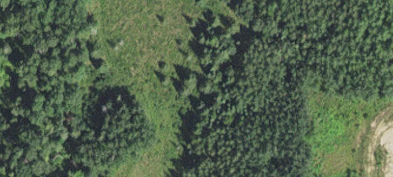 Meadowlands, MN 55765