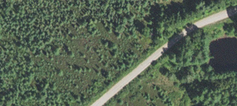 Meadowlands, MN 55765