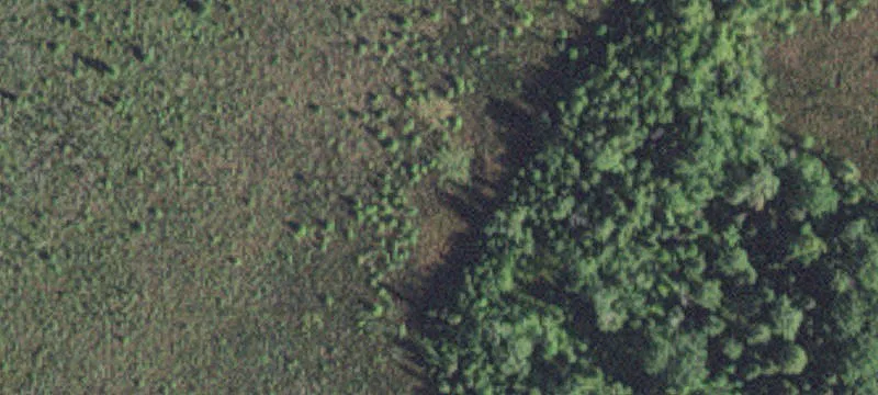 Forbes, MN 55738