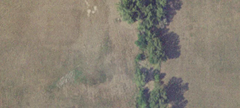 Dilworth, MN 56529