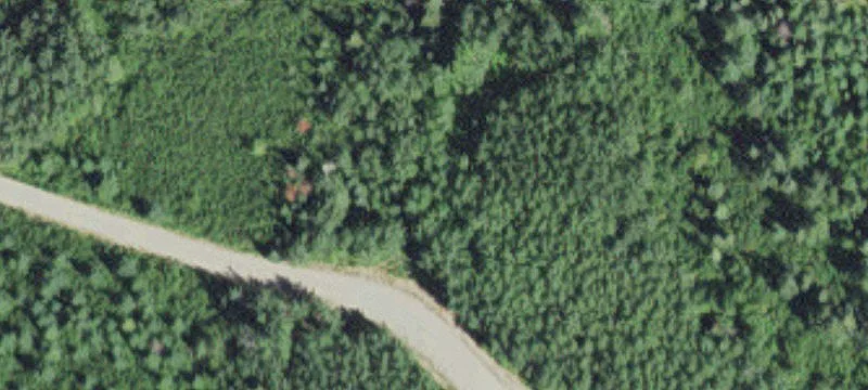 Cook, MN 55723