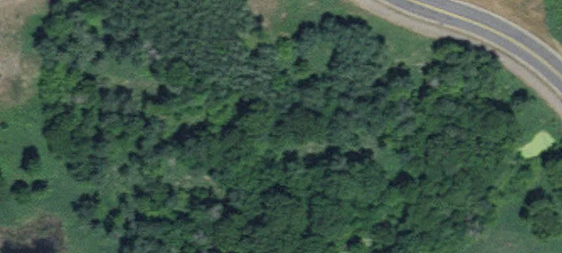 Andover, MN 55304