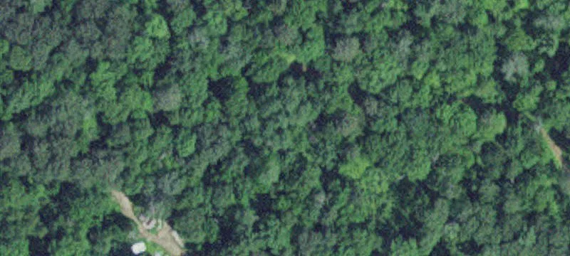 Fifty Lakes, MN 56448