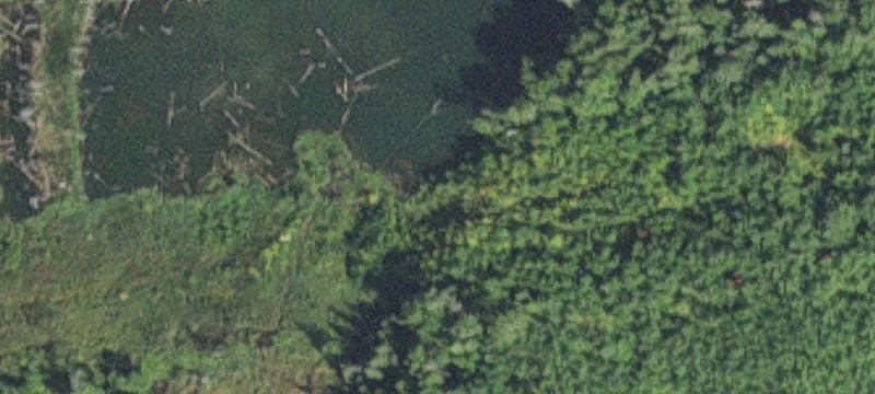 Kinney, MN 55758