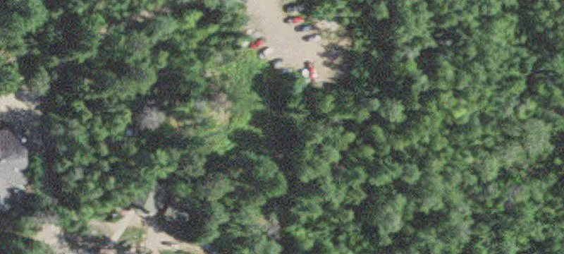 Cook, MN 55723