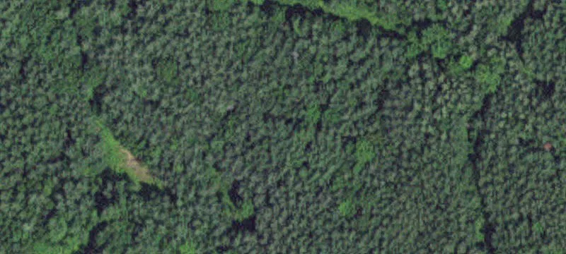 Garrison, MN 56450