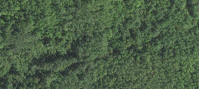 Kinney, MN 55758
