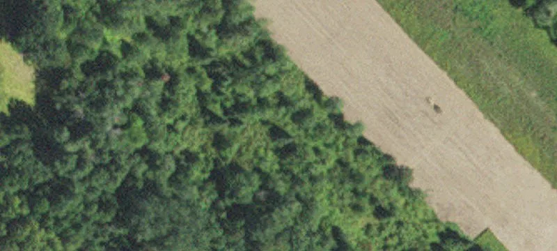 Floodwood, MN 55736