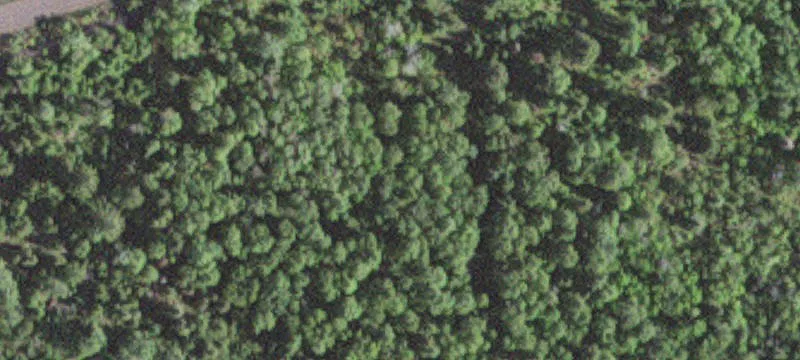 Hoyt Lakes, MN 55750