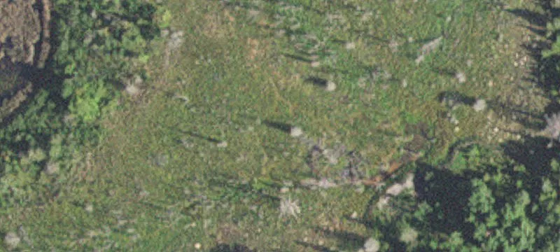 Virginia, MN 55792