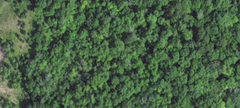 Garrison, MN 56450