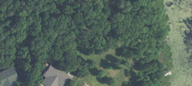 24115 White Pne Dr