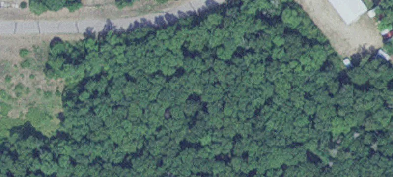 Merrifield, MN 56465