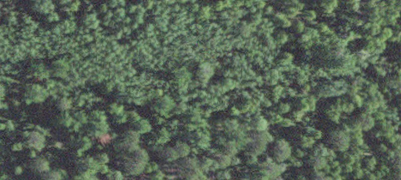 Tower, MN 55790