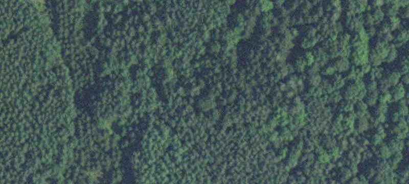 Nisswa, MN 56468