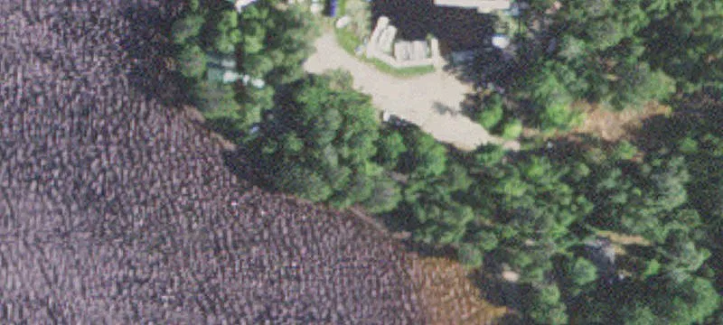 Cook, MN 55723