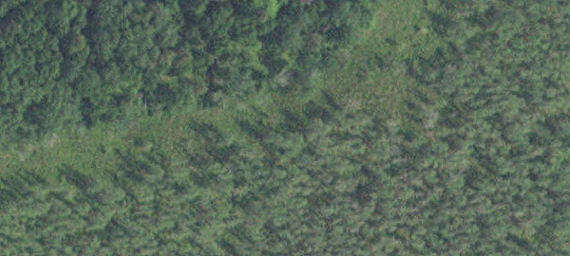 Nisswa, MN 56468
