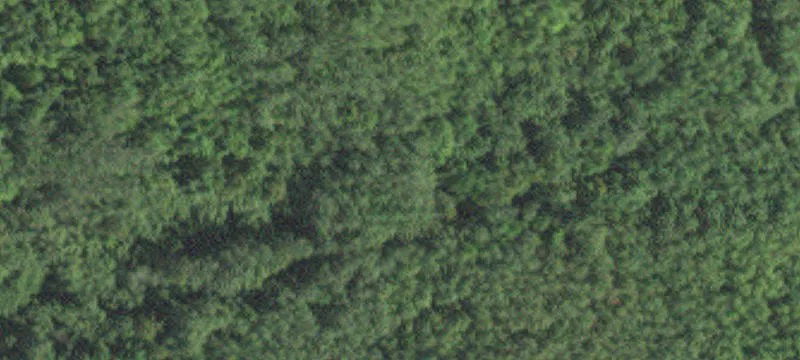 Kinney, MN 55758