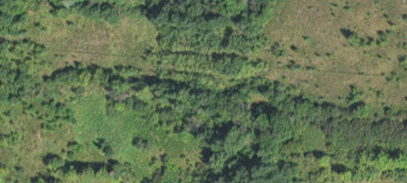 Kinney, MN 55758