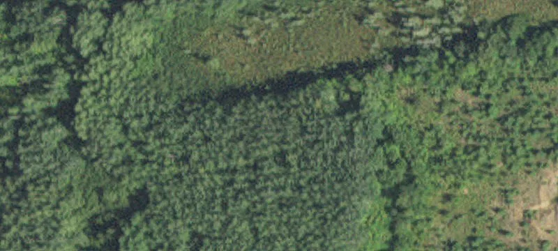 Saginaw, MN 55779