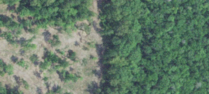 9986 County Rd 23