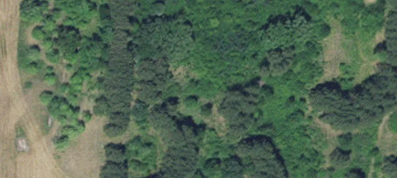 Zimmerman, MN 55398
