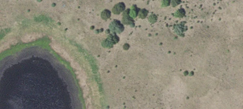 Princeton, MN 55371