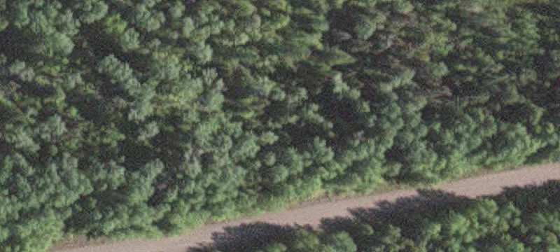 Babbitt, MN 55706