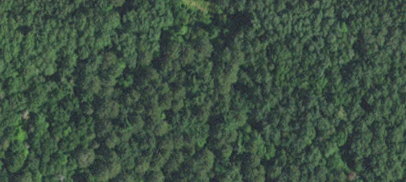 Pequot Lakes, MN 56472