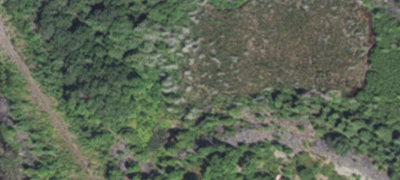 Babbitt, MN 55706