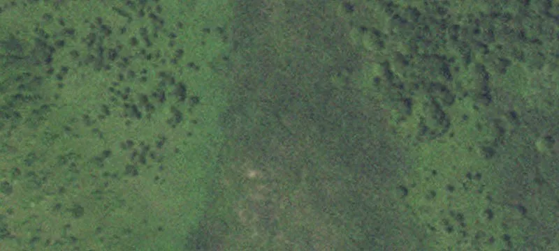 Felton, MN 56536