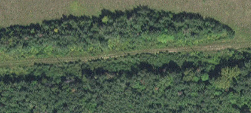 Hibbing, MN 55746