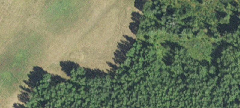 Angora, MN 55703
