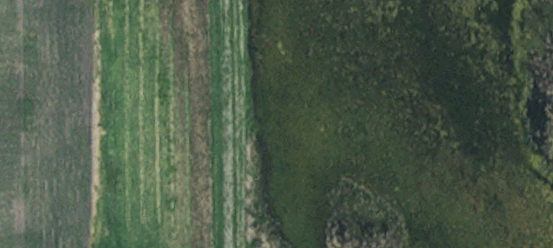 Chokio, MN 56221