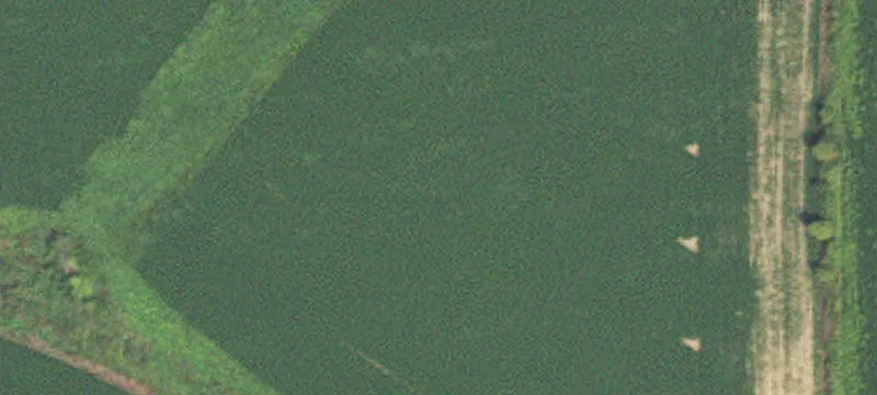 Winona, MN 55987