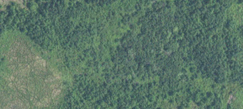 Brainerd, MN 56401