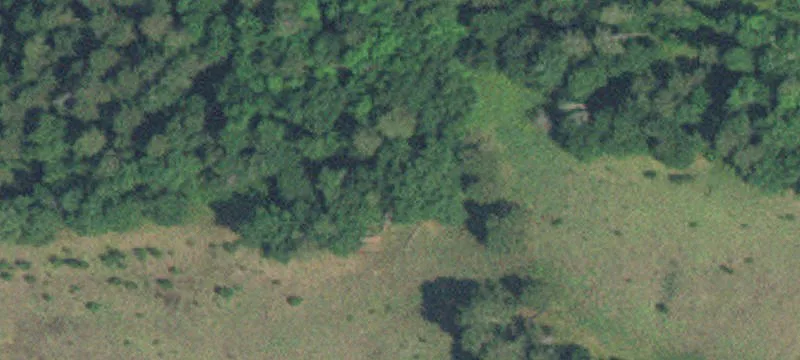 Pequot Lakes, MN 56472