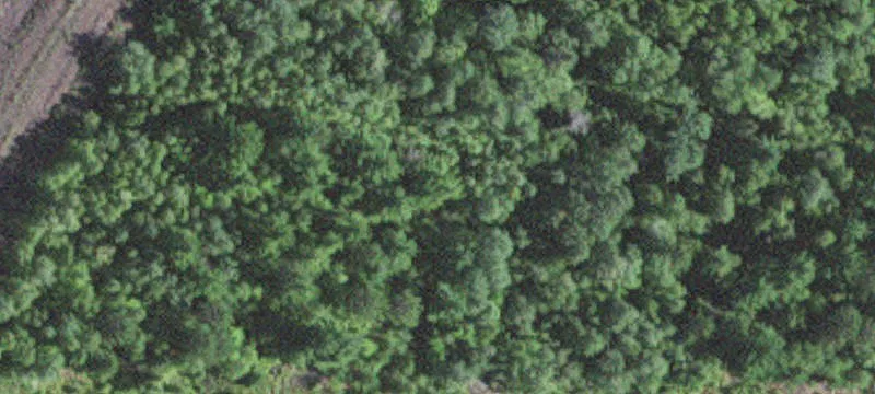 Hoyt Lakes, MN 55750